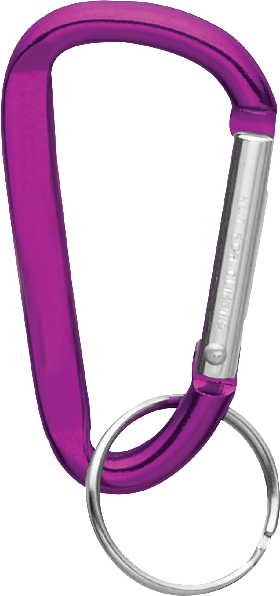 Small Carabiner Key Ring