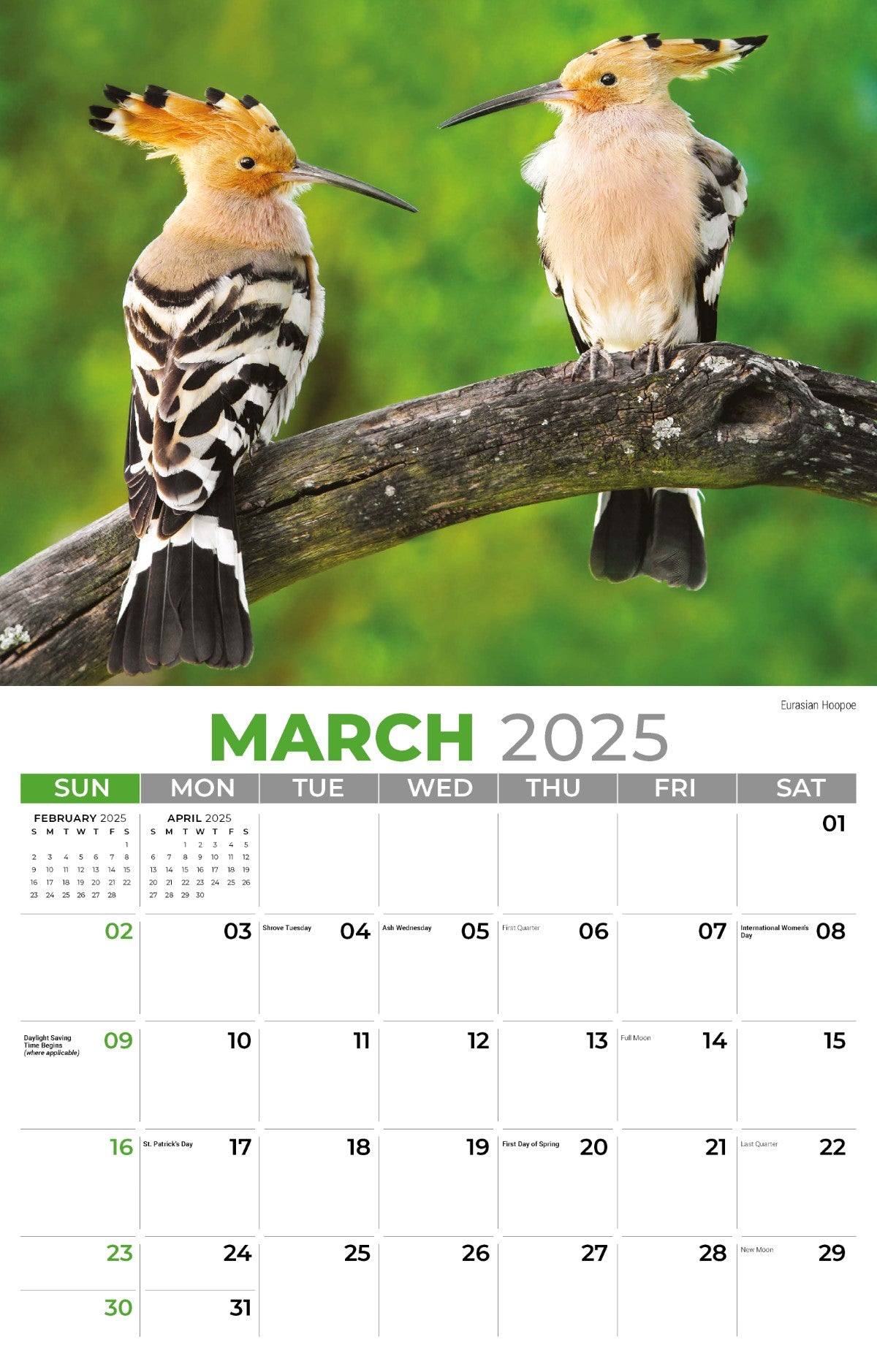 Galleria Wall Calendar 2025 International Wildlife