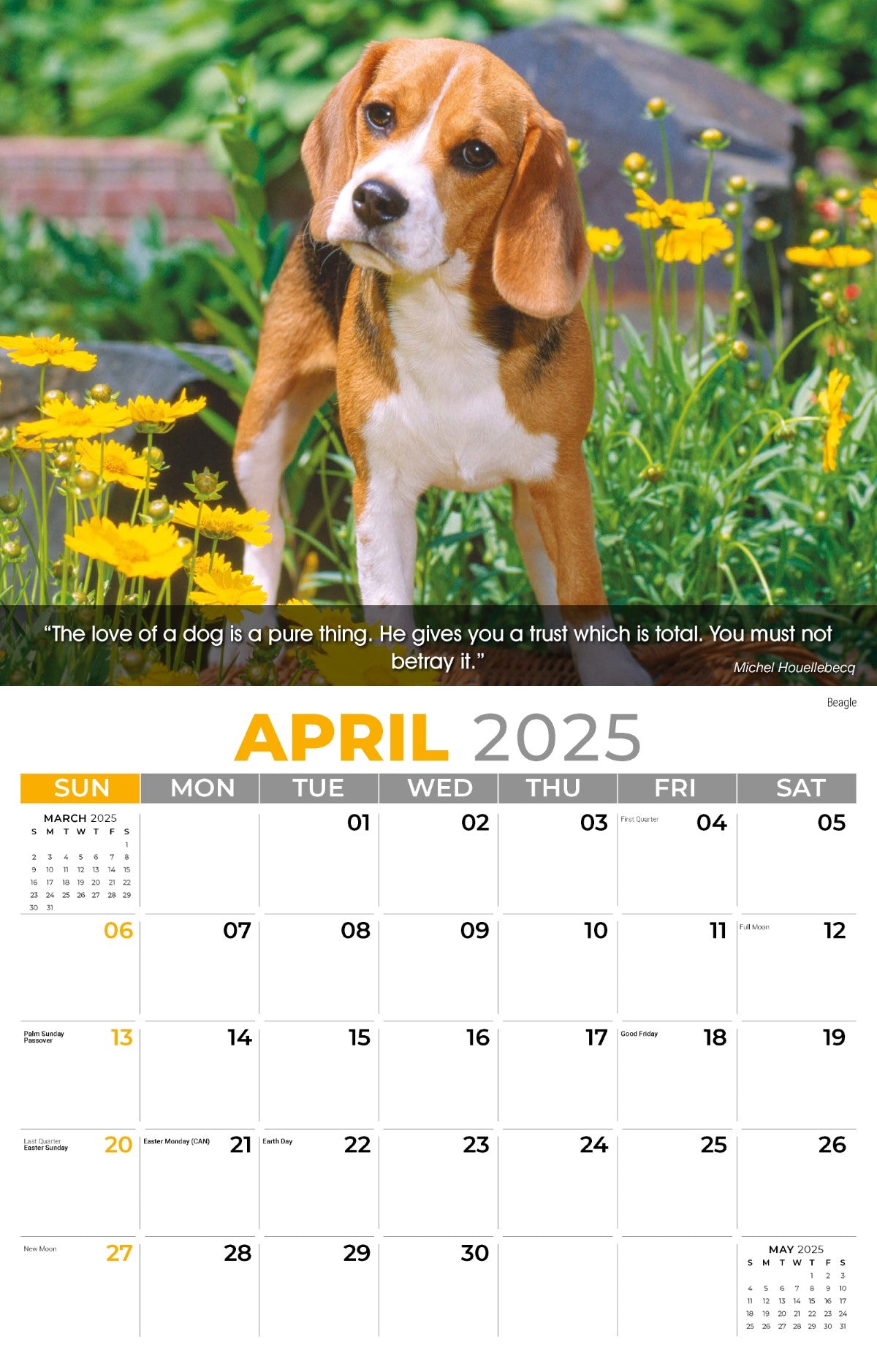 Galleria Wall Calendar 2025 Dogs Calendar