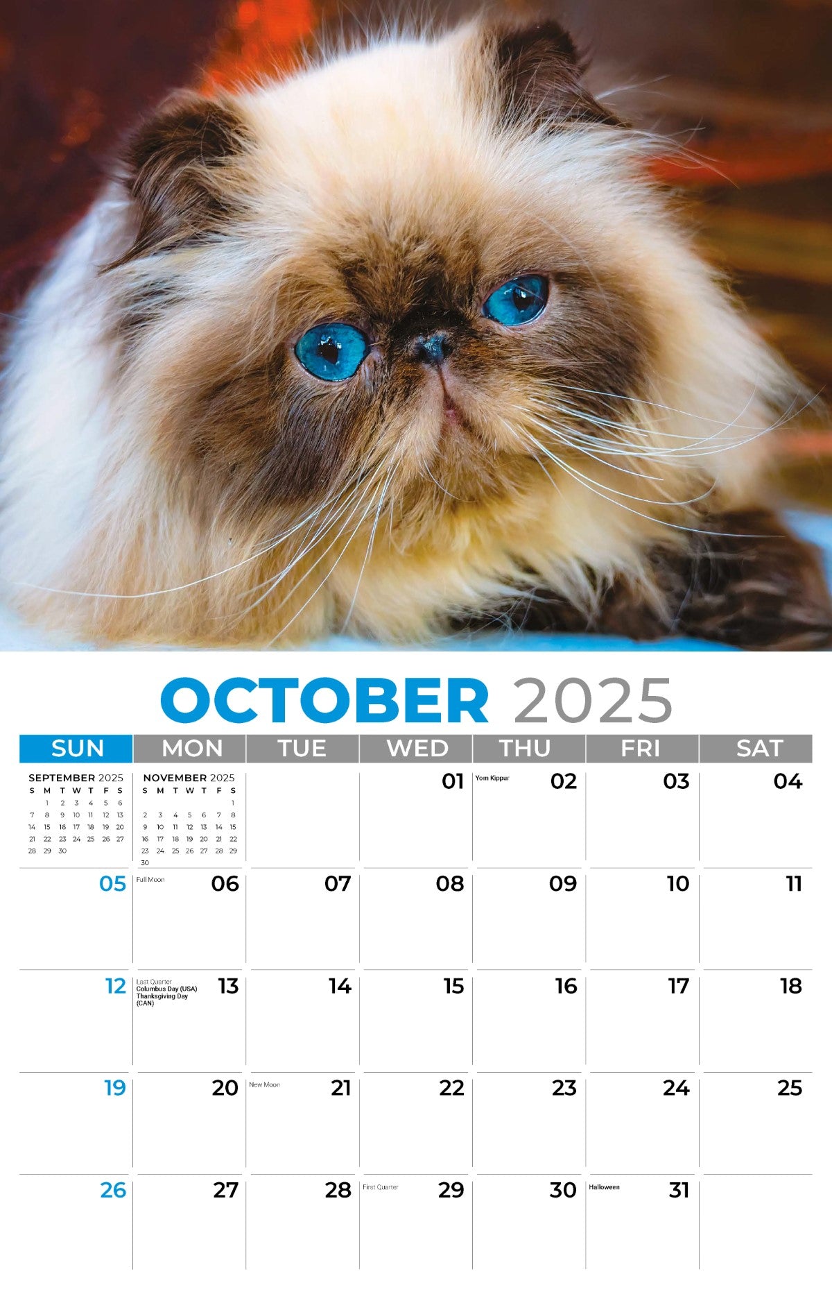 Galleria Wall Calendar 2025 Kittens Calendar