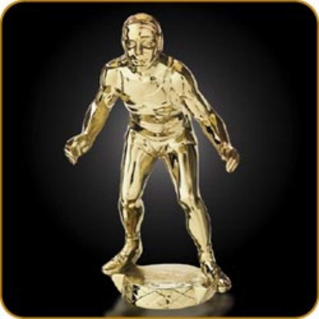 WRESTLER GOLD 2