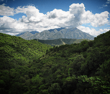 Challenges For Sustainability - Gifts Giving Carbon Footprint