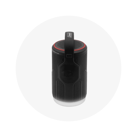 Custom Multi-Function Speaker