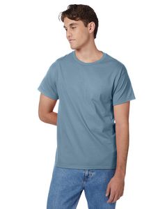 Hanes Printables Men's Authentic-T T-Shirt
