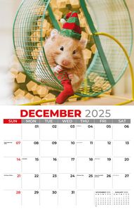 Galleria Wall Calendar 2026 Pets