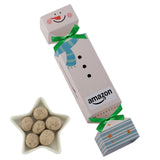 Holiday Party Crackers - S'mores Bites