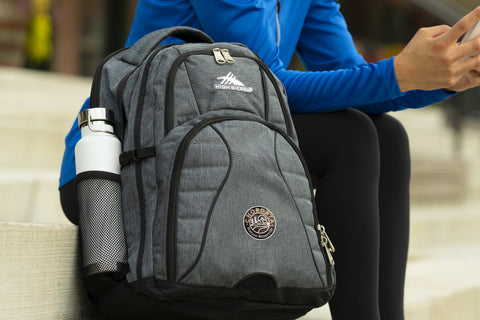 High Sierra Swerve 17'' Computer Backpack