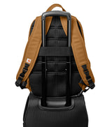 Carhartt Brown
