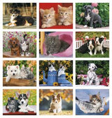 Four Paws Appointment Calendar - Spiral 2026 Calendar