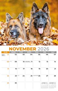 Galleria Wall Calendar 2026 Pets
