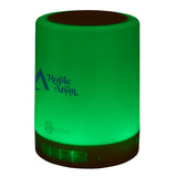 Biconic Lantern Color Changing Wireless Speaker