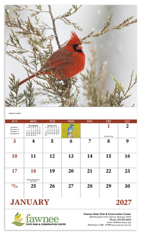 Good Value™ Birds of North America - Stapled Calendar