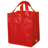 Non Woven Carry All Bag