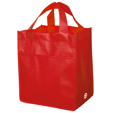 Non Woven Carry All Bag
