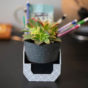 Rupt™ Boomz 5W Portable Speaker