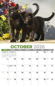 Galleria Wall Calendar 2026 Kittens Calendar