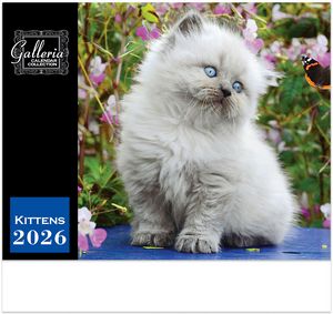 Galleria Wall Calendar 2026 Kittens Calendar