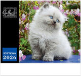 Galleria Wall Calendar 2026 Kittens Calendar