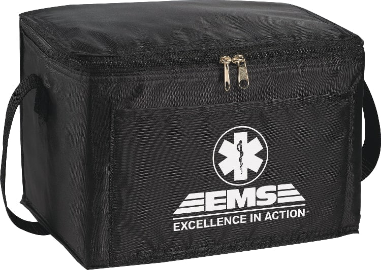 Spectrum Budget 6-Can Lunch Cooler