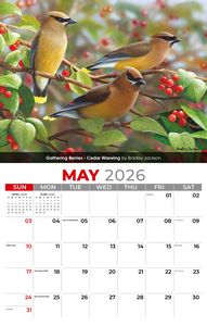 Galleria Wall Calendar 2026 Garden Birds