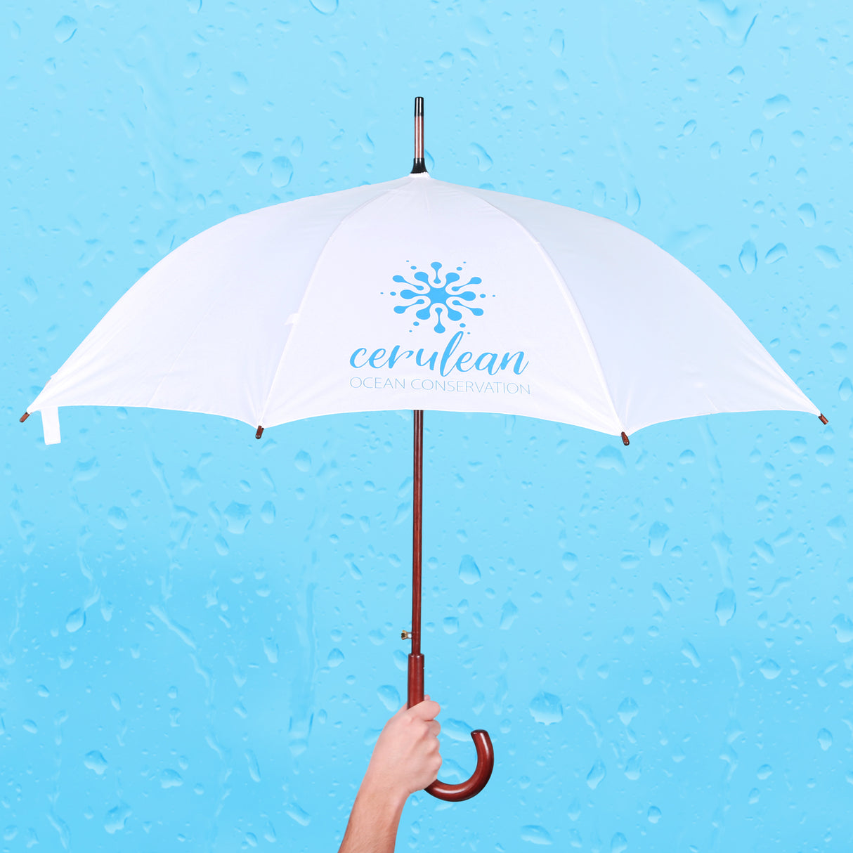 Executive Umbrella: 48" Arc With Hook Handle: 48" Arc with Hook Handle