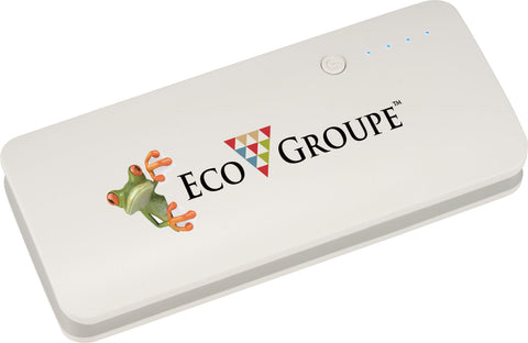 Spare 10000 mAh Power Bank