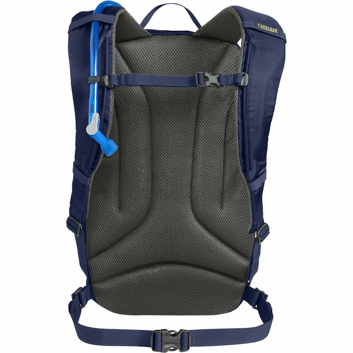 1627-77NYBack