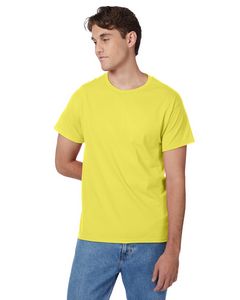 Hanes Printables Men's Authentic-T T-Shirt
