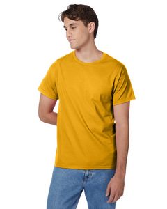 Hanes Printables Men's Authentic-T T-Shirt