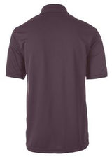 Chestnut Brown Blank Back