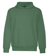 NEW Balsam Green
