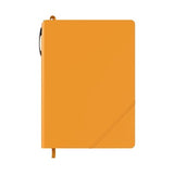 ST4471 ORG BLANK