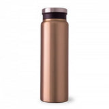Trend Setter Metallic 600 Ml / 20 Oz Stainless Steel Bottle