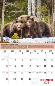 Galleria Wall Calendar 2026 Planet Earth Calendar