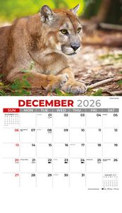 Galleria Wall Calendar 2026 North American Wildlife
