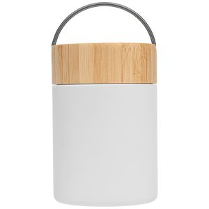 Reborn Recycled Stainless Steel Food Container - 17 oz. - ColorJet