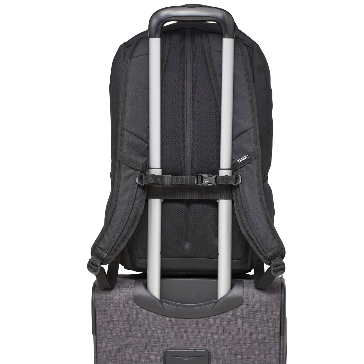 9020-65BKBack