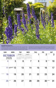 Galleria Wall Calendar 2026 Planet Earth Calendar
