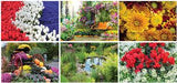 Garden Desk Calendar