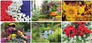 Garden Desk Calendar