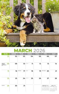 Galleria Wall Calendar 2026 Pets