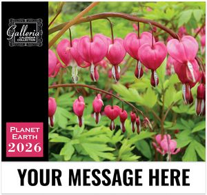 Galleria Wall Calendar 2026 Planet Earth Calendar