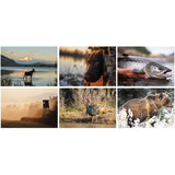 Sportsman Spiral Wall Calendar