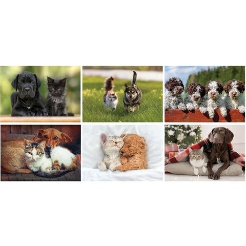Furry Friends Wall Calendar Stapled
