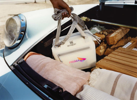 Stanley Julienne Mini 10 Can Cooler
