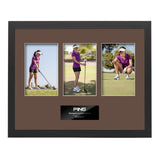 Chestnut / 4" x 6" (3) / (None)