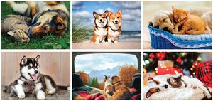 Furry Friends Spiral Wall Calendar