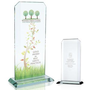 Starfire Echo Award - Large