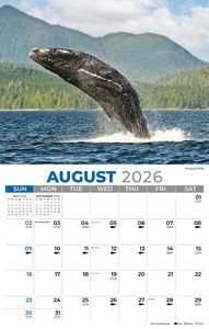 Galleria Wall Calendar 2026 North American Wildlife