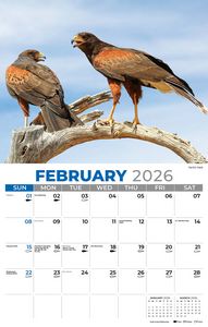 Galleria Wall Calendar 2026 North American Wildlife